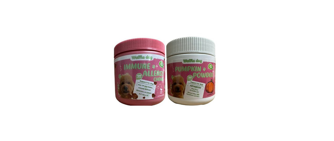 pumpkin powder allergy chews for dogs immune booster for dog