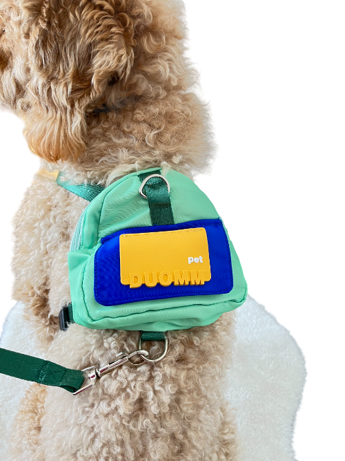 DOG BACKPACK GREEN