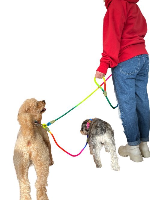 Hands free Waist & Crossbody Dog Leashe for 2 dogs