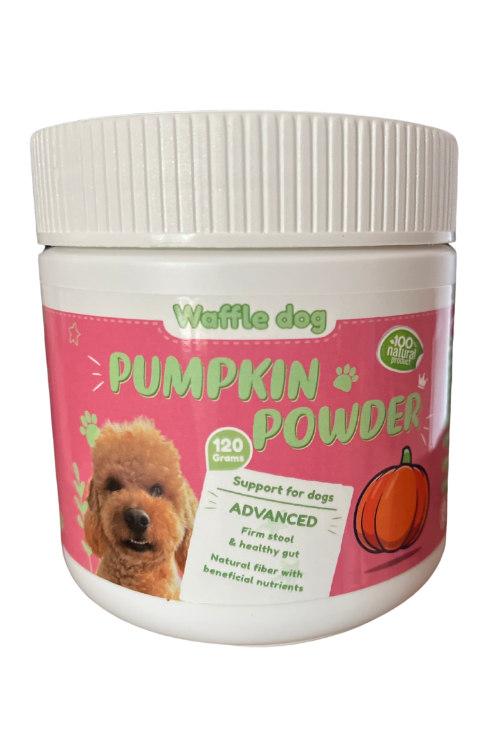 pumpkin powder