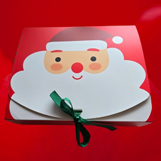 christmas eve dog treat box with santa