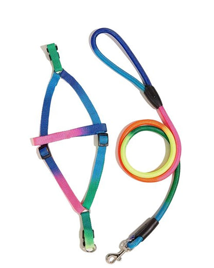 Leash & Harness Nylon Colorful Pet