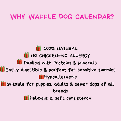 Waffle dog christmas calendar