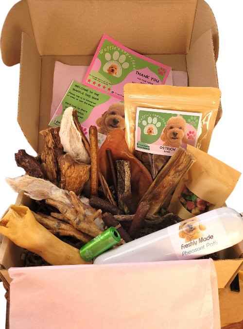 Box of natural, healthy dog treats