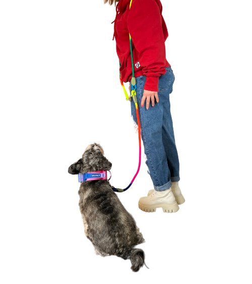 Hands free Waist & Crossbody Dog Leashe 1 dog 