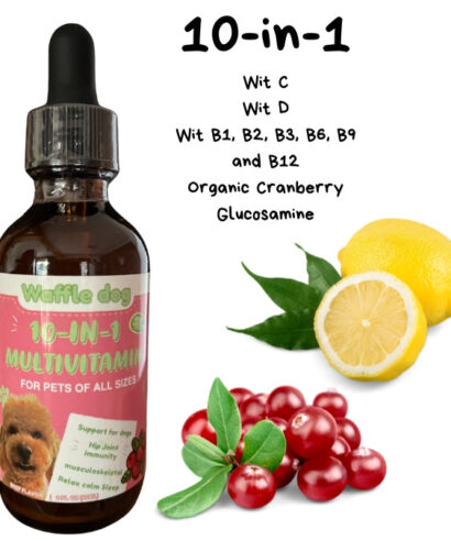 Multivitamin, supplements for dog