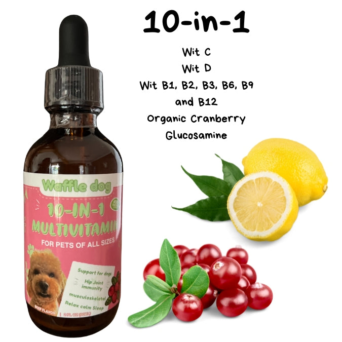 10-in-1 Multivitamin, supplements for dog