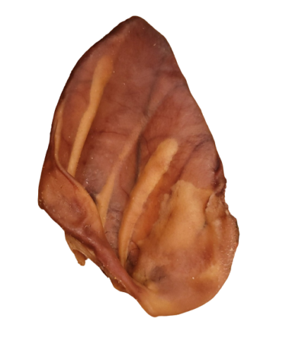 PIG EAR