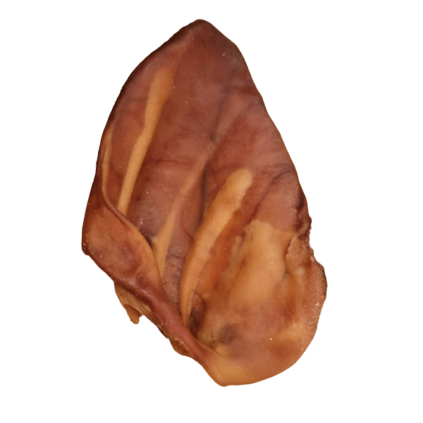PIG3-Photoroom.png-Photoroom PIG EAR