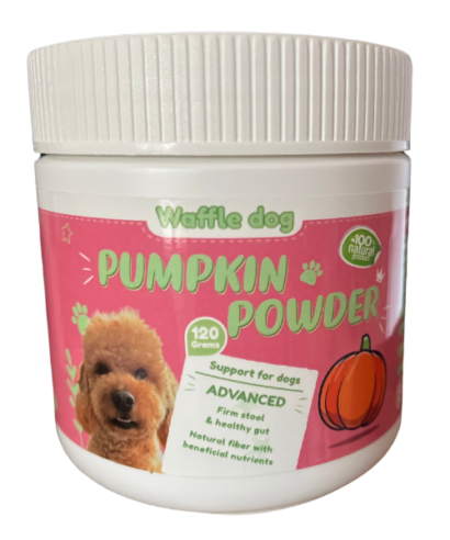 pumpkin powder