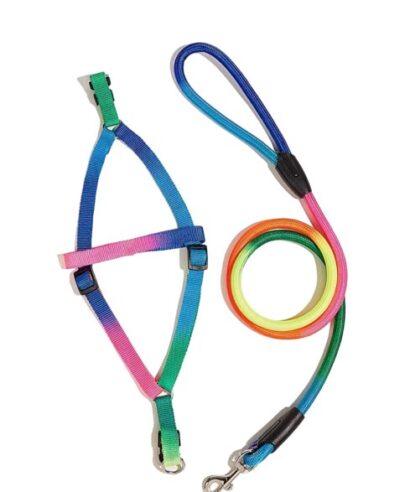 Leash & Harness Nylon Colorful Pet