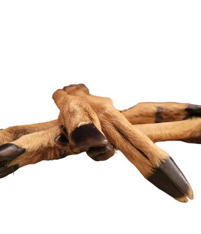 NATURAL VENISON LEGS WITH FUR