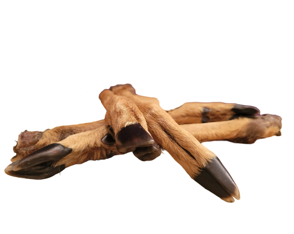 leg-Photoroom.png-Photoroom NATURAL VENISON LEGS WITH FUR