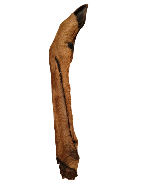 leg1-Photoroom.png-Photoroom VENISON LEG WITH FUR