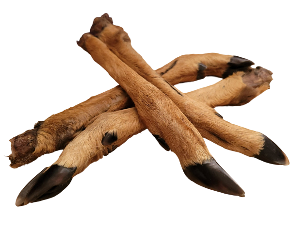 legs-Photoroom.png-Photoroom NATURAL VENISON LEGS