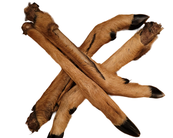 legs2-Photoroom.png-Photoroom NATURAL VENISON LEGS WITH FUR